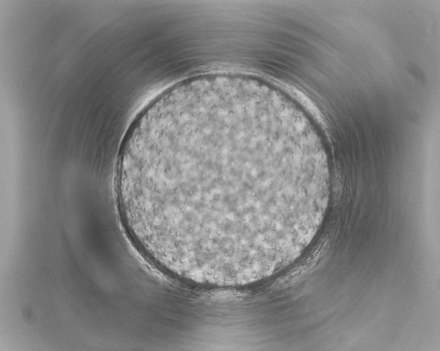X0000114420847200911271555