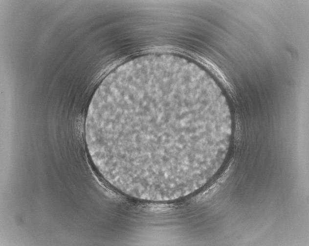 X0000114420849200911271555