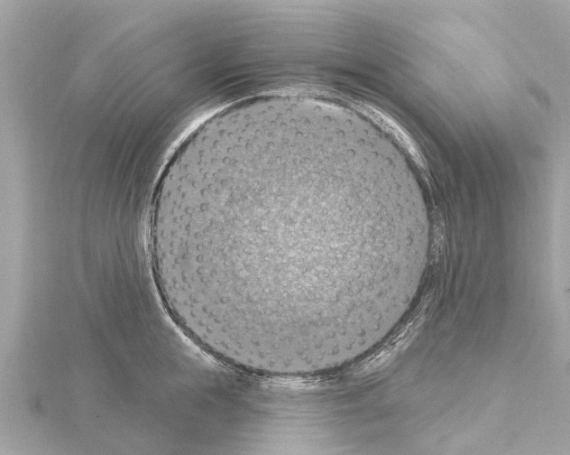 X0000114420855200911271555