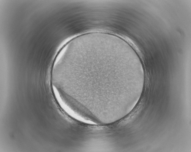 X0000114420862200911271555