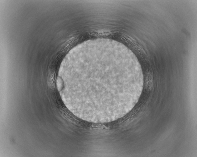 X0000114420866200911271554