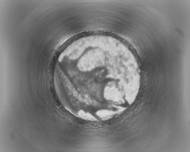 X0000114420871200911271554