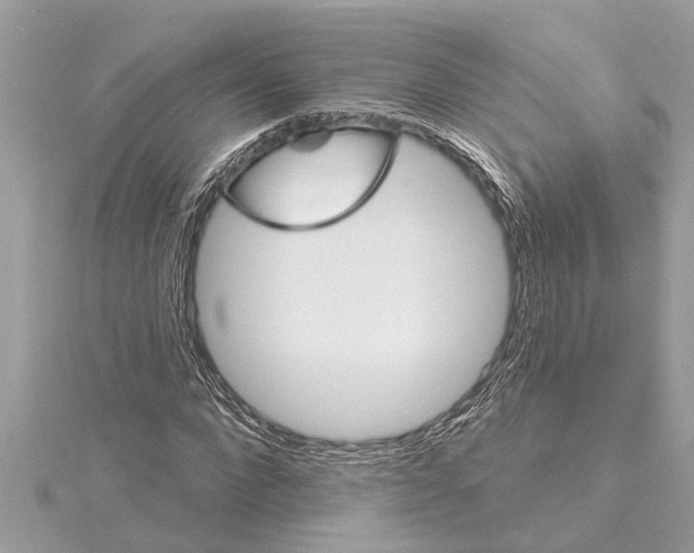 X0000114420872200911271554