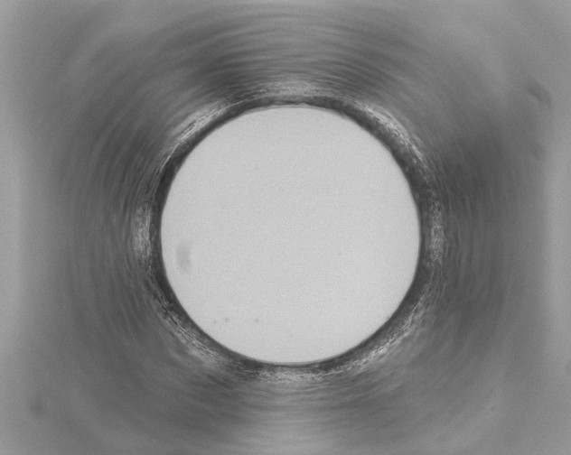 X0000114420873200911271554