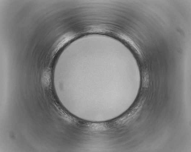 X0000114420874200911271554