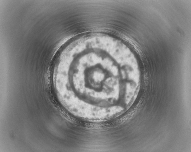 X0000114420875200911271554