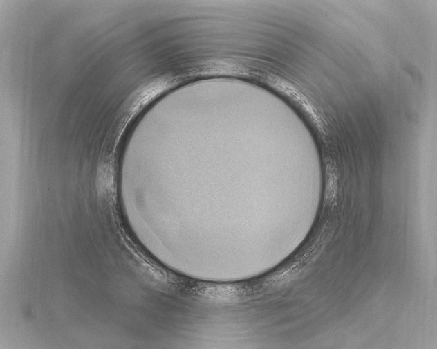 X0000114420882200911271554