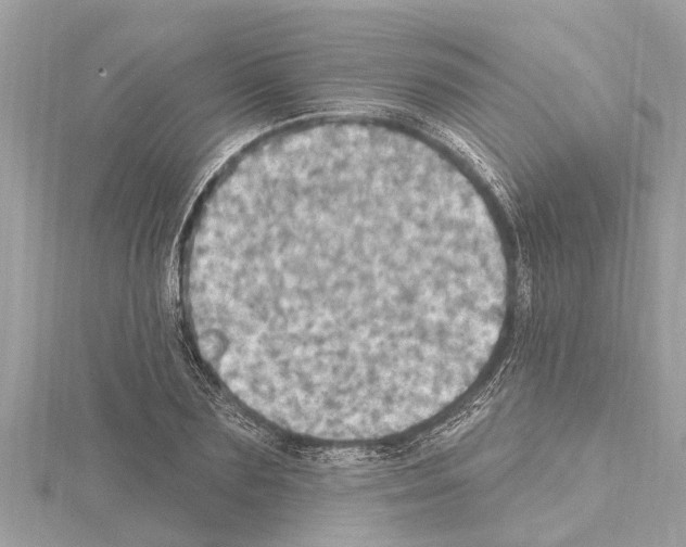 X0000114420883200911271554
