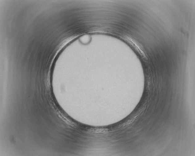 X0000114420884200911271554