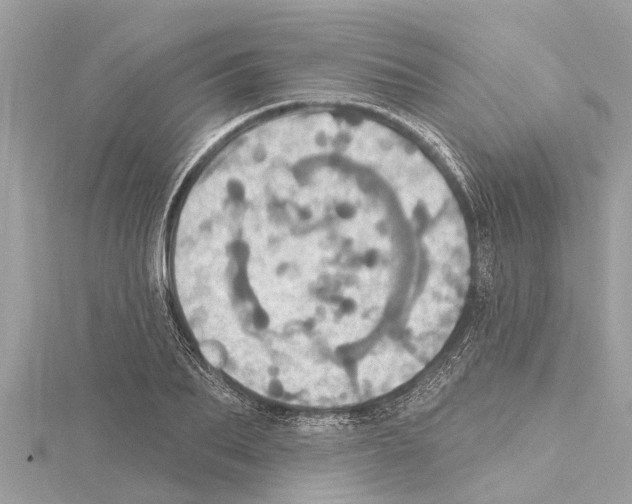 X0000114420887200911271554