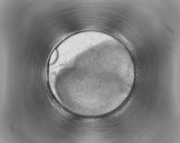 X0000114420892200911271554