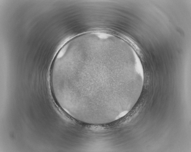 X0000114420907200911271554