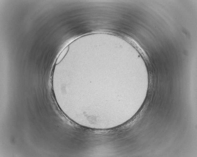 X0000114420908200911271554