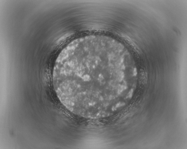 X0000114420918200911271553