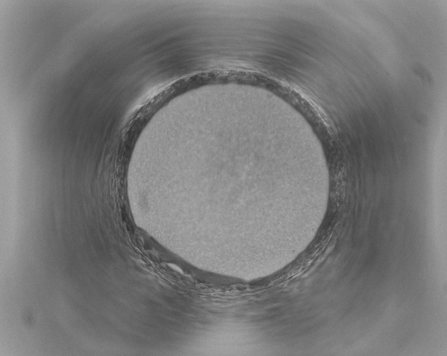 X0000114420919200911271553