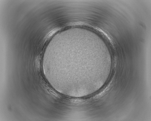 X0000114420921200911271553