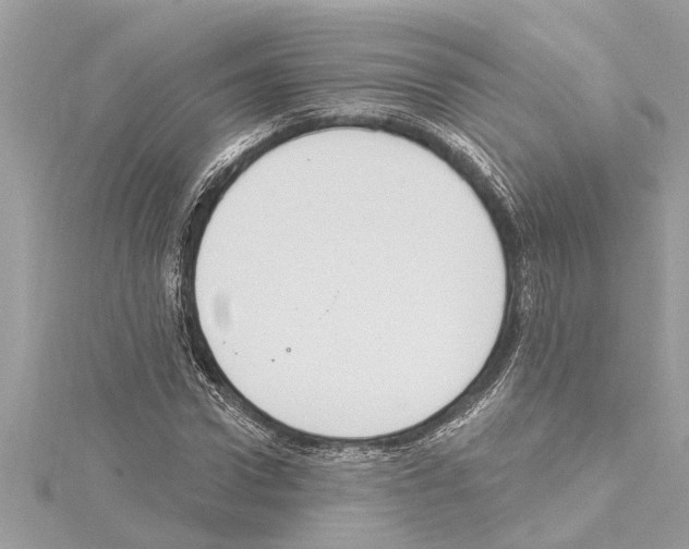 X0000114420922200911271553
