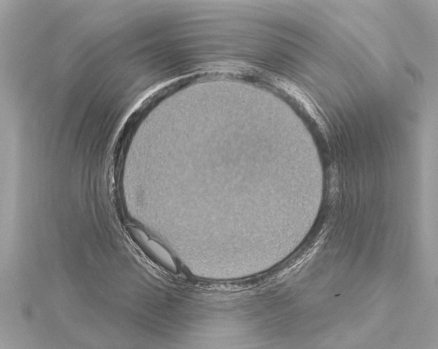 X0000114420923200911271553