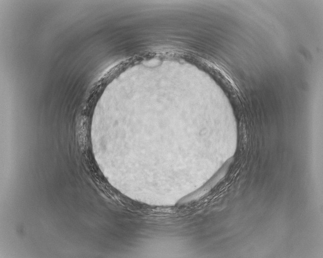 X0000114420968200911271553