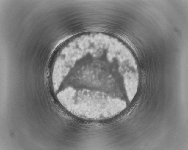 X0000114420971200911271553