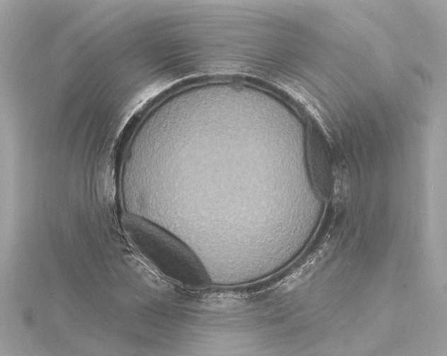 X0000114420973200911271553