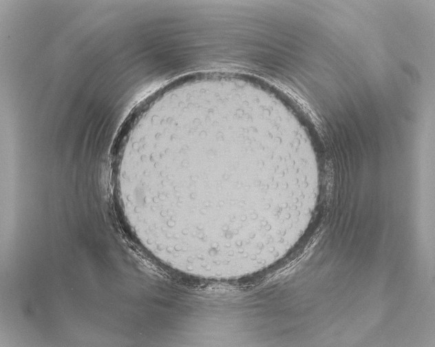 X0000114420974200911271553