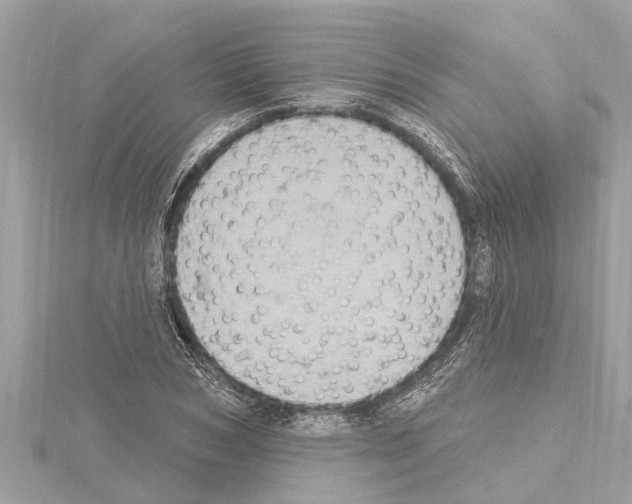 X0000114420978200911271553
