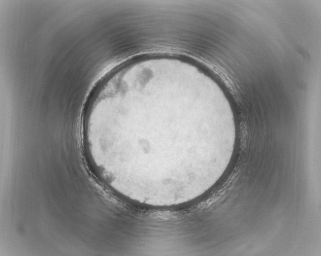 X0000114420982200911271553