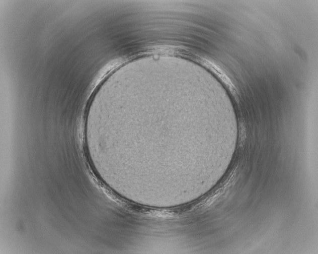 X0000114420994200911271553