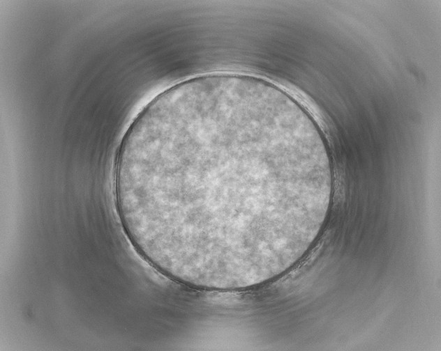X0000114421006200911271552
