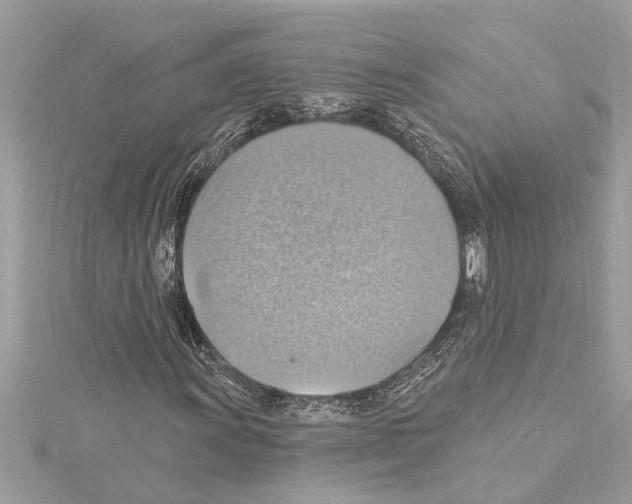 X0000114421011200911271552