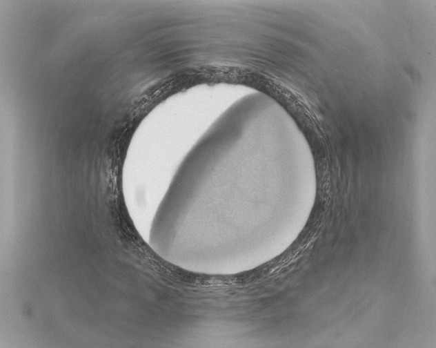 X0000114421013200911271552