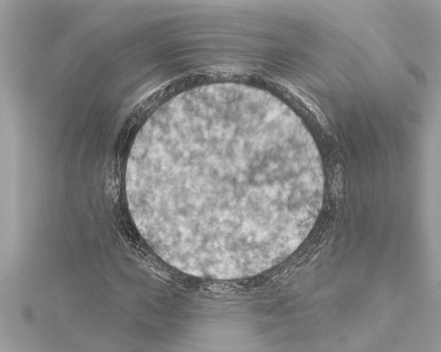 X0000114421015200911271552
