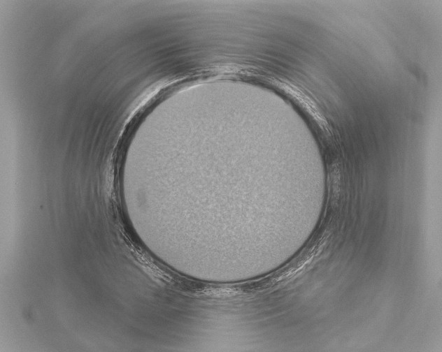 X0000114421023200911271552