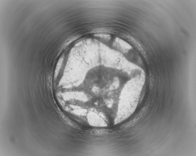 X0000114421041200911271552