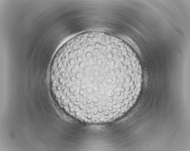 X0000114421044200911271552