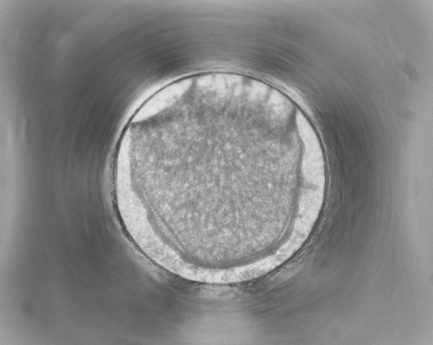 X0000114421056200911271552