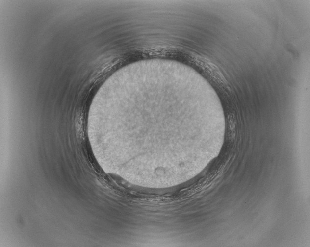 X0000114421060200911271552