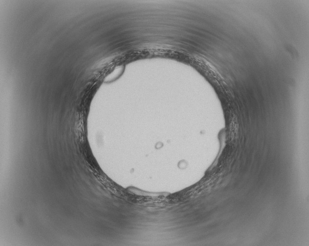 X0000114421062200911271552