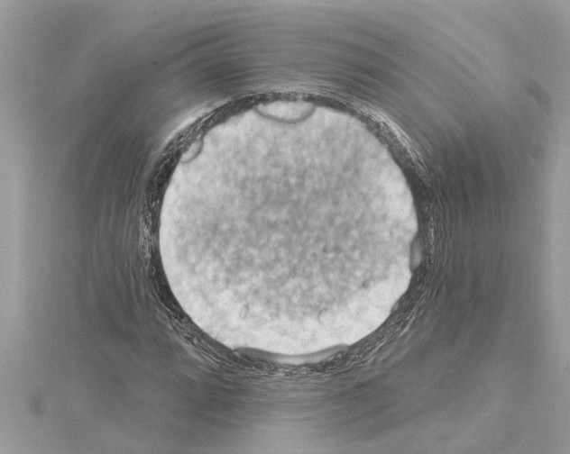 X0000114421064200911271552