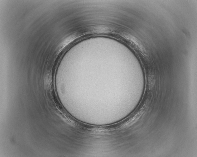 X0000114421065200911271552