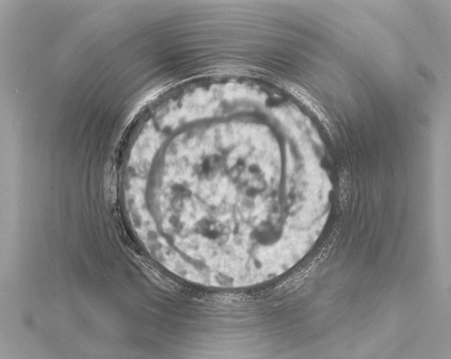 X0000114421067200911271552