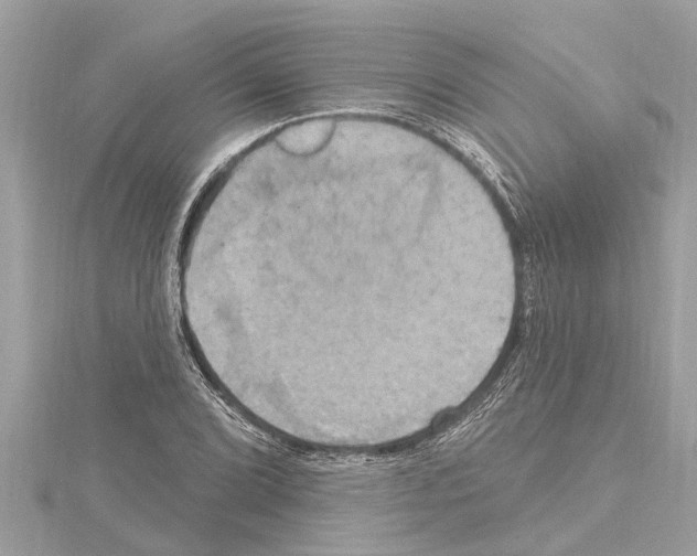 X0000114421072200911271552