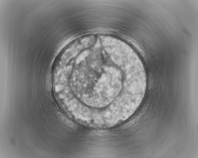 X0000114421075200911271551