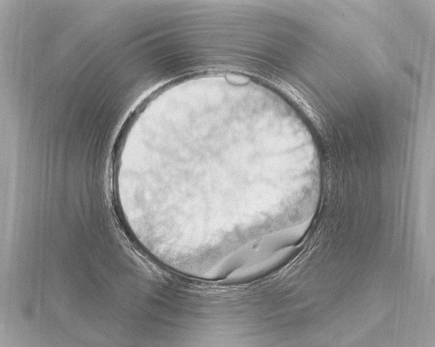 X0000114421076200911271551