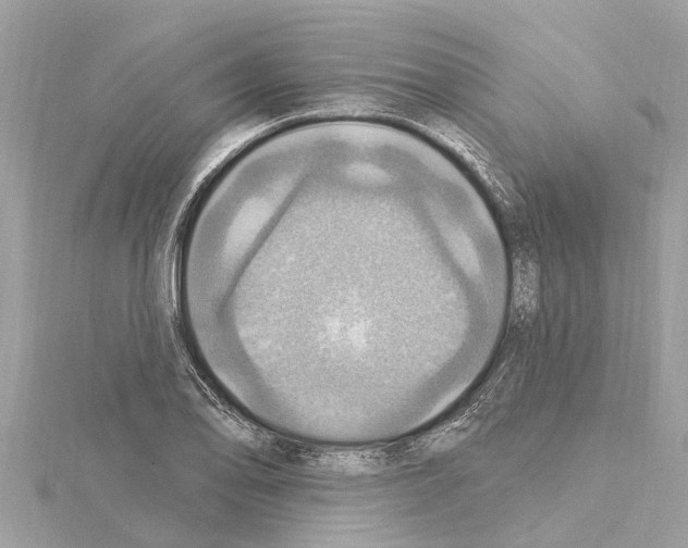 X0000114421078200911271551