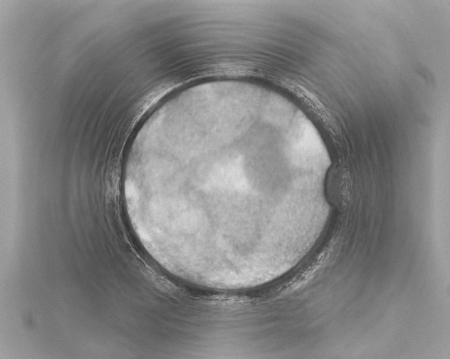X0000114421081200911271551