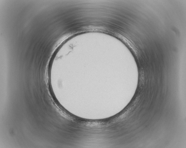 X0000114421082200911271551
