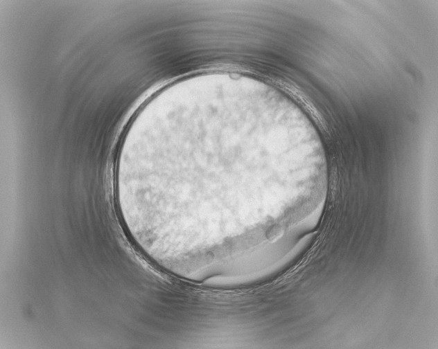 X0000114421092200911271551