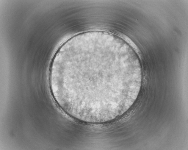 X0000114421096200911271551